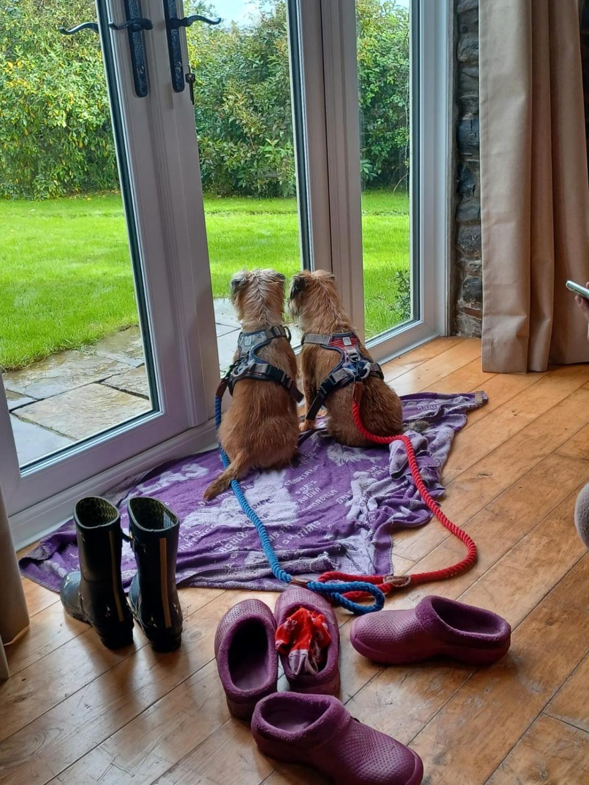 Pippin Lodge Llanwrda Esterno foto