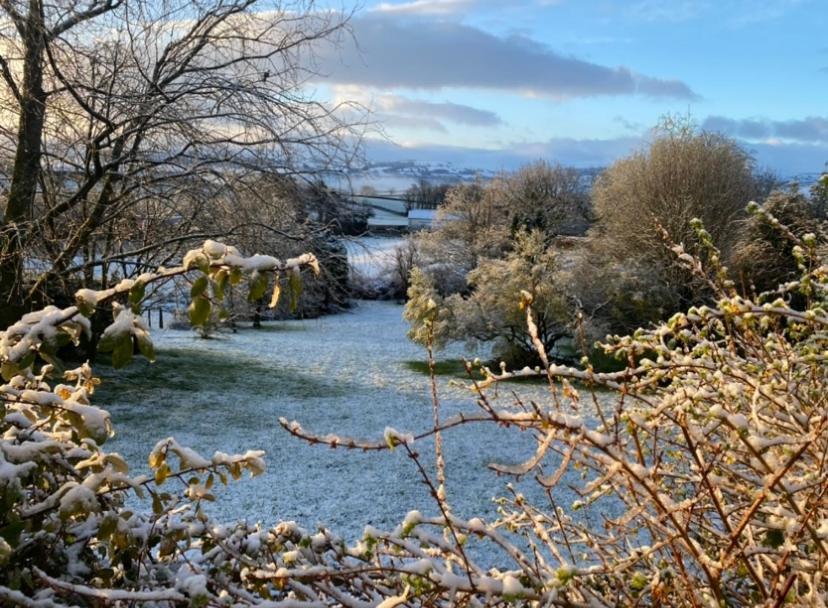 Pippin Lodge Llanwrda Esterno foto
