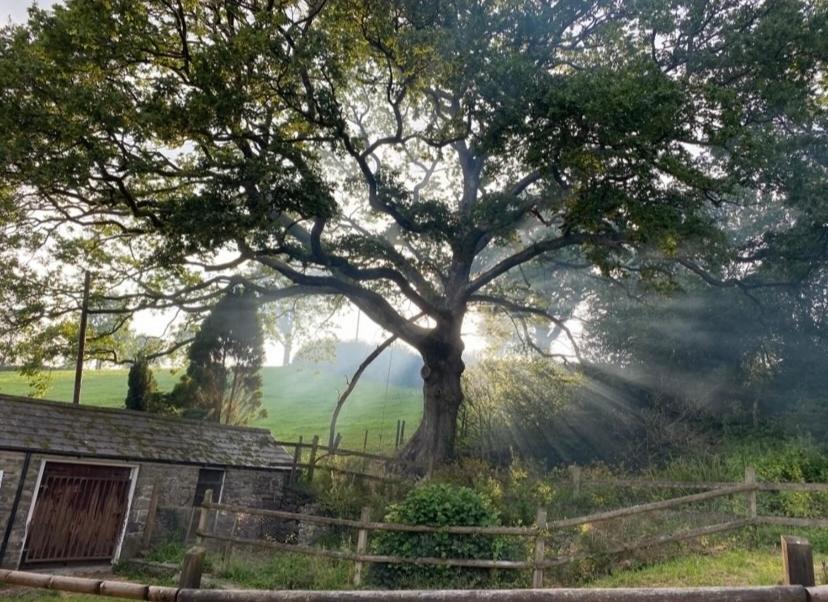 Pippin Lodge Llanwrda Esterno foto