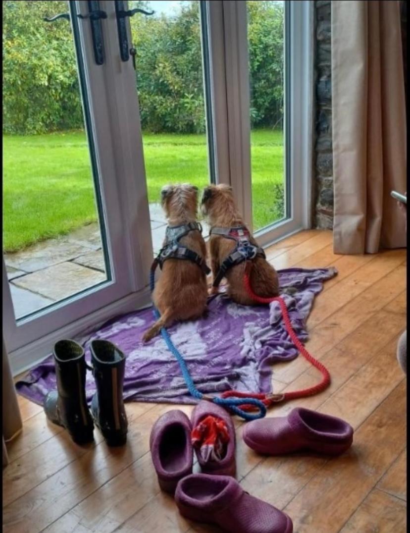 Pippin Lodge Llanwrda Esterno foto
