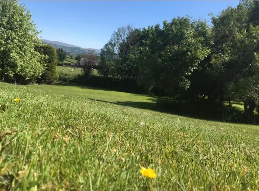 Pippin Lodge Llanwrda Esterno foto